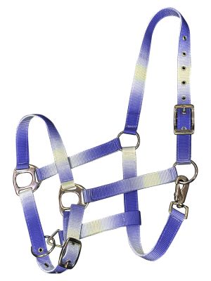 Showman Premium nylon Horse sized ombre halter with nickel plated hardware #2